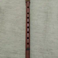 دودوک شیرزاده