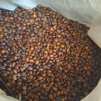 استخدام باریستا