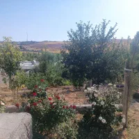 فروش  باغچه خانه زنیان|فروش خانه و ویلا|شیراز, مهدی‌آباد|دیوار