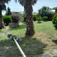 زدن علف های هرز زمین خانه ویلا. وسمپاشی