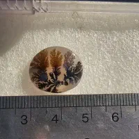 سنگ شجر قائن طبیعی اصل