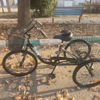 سه چرخه دنده ای در حد