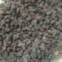 کشمش بناب|خوردنی و آشامیدنی|تبریز, |دیوار