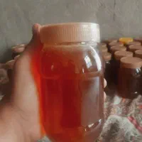 عسل کاملاً طبیعی ،گون و کنار  با برگ آزمایشگاه|خوردنی و آشامیدنی|اقلید, |دیوار
