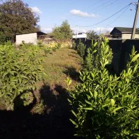 هزار متر باغ با کاربری مسکونی