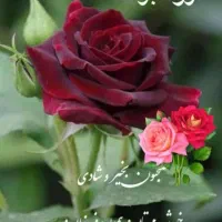 لیپوساکشن و تزرق چربی تخفیف جشنواره