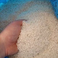 برنج نیم دونه هاشمی ۲۰کیلو۲۸۰۰|خوردنی و آشامیدنی|رشت, یخسازی|دیوار