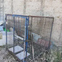 گنجه،قفس پرنده ،سگ