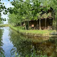 بکرترین پروژه دنیا اینجاست