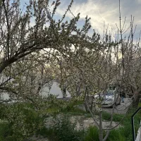 اجاره ۶ ماهه باغ ویلا مبله شهرکی امن|اجارهٔ خانه و ویلا|مشکیندشت, |دیوار