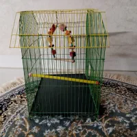قفس پرنده نو|لوازم جانبی حیوانات|پاکدشت, پاکدشت (مامازند)|دیوار