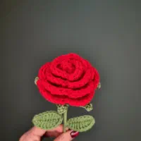 گل رز بافتنی