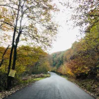 زمین-جنگلی-منظره-کوهستان-جاده-رشت-تهران