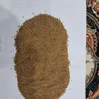 نمایندگی بذر یونجه پایه بلند موسوی|خدمات باغبانی و درختکاری|سقز, |دیوار