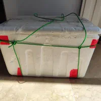 یخدان یونولیتی ۲۰ لیتری بهمراه یخ مسافرتی|کوهنوردی و کمپینگ|تهران, جماران (نیاوران)|دیوار