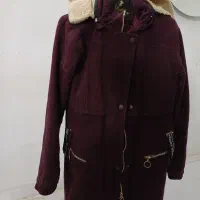 پالتو