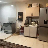 نیرو خانم به همراه سوییت