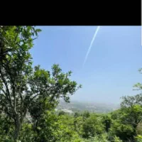 مشارکت در ساخت اربه کله ازمتراژ400متربرجاده تا|مشارکت در ساخت املاک|رامسر, |دیوار