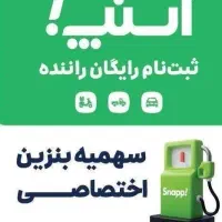 اسنپی باش و درآمد همیشگی داشته باش