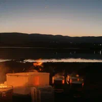 کارت سوخت موتور گم شده.