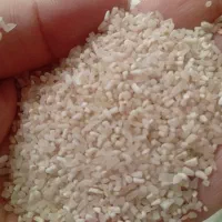 برنج نیمدانه وسرلاشه  هاشمی۱۴۰۴ خوش عطرواعلا|خوردنی و آشامیدنی|الوند, |دیوار