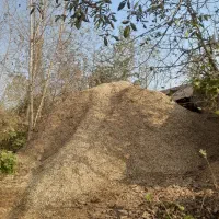 فروش پوست بادام زمینی به صورت عمده