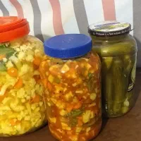 ترشی جات ارکلنیک خیلی خوشمزه