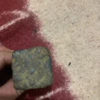 قدیمی|کلکسیون اشیاء عتیقه|تهران, آذربایجان|دیوار