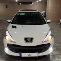 207 پانا دنده ای