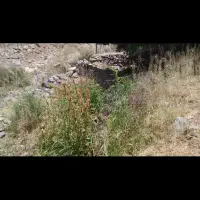 زمین باغی|فروش دفتر صنعتی، کشاورزی، تجاری|شاهین‌شهر, مسکن مهر|دیوار