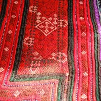 تعدادی زی فروشی