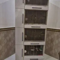 قفس mdf چهار طبقه برای نگهداری انواع پرنده|لوازم جانبی حیوانات|رفسنجان, |دیوار