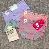 شورتکس اصلی