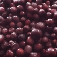 ۳ تن عناب فوق العاده درجه یک تازه بیرجند|خوردنی و آشامیدنی|جلگه ماژان, |دیوار