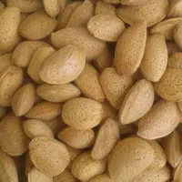 بادام درختی