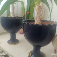 گل وگلدان خوب