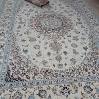 خرید و فروش فرش دستبافت|فرش|کرج, گوهردشت|دیوار