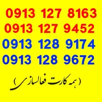 09131278163