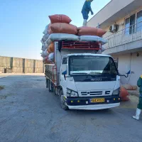 دیمی نرم و سفید