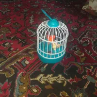 اسباب بازی