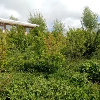 ویلا باغ درمسیرجاده میرزانق نمین.