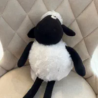 عروسک|اسباب‌بازی بچه|بندرعباس, |دیوار