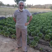 فروش-زمین-12000-متر-قطعه-بندی-شده