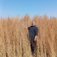 جارو کشاورزی عمده|عمده‌فروشی|نهاوند, |دیوار