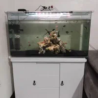 آکواریوم شیشه خم