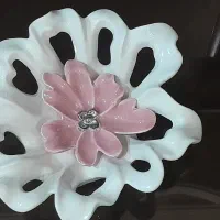 ظرف های نو وشیک