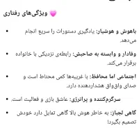 توله میکس اشپیتز مالتیز عروسکی زیر قیمت ایران|سگ|ارومیه, |دیوار