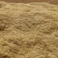 کاه نرم گندم