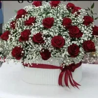 زیبا و شیک ارزان