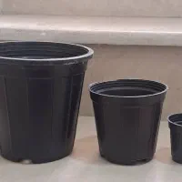 گلدان پلاستیکی گلخانه ای
